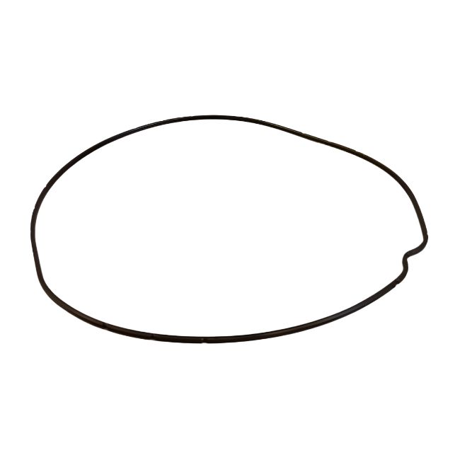 Beta 4-stroke Clutch Cover O-Ring
