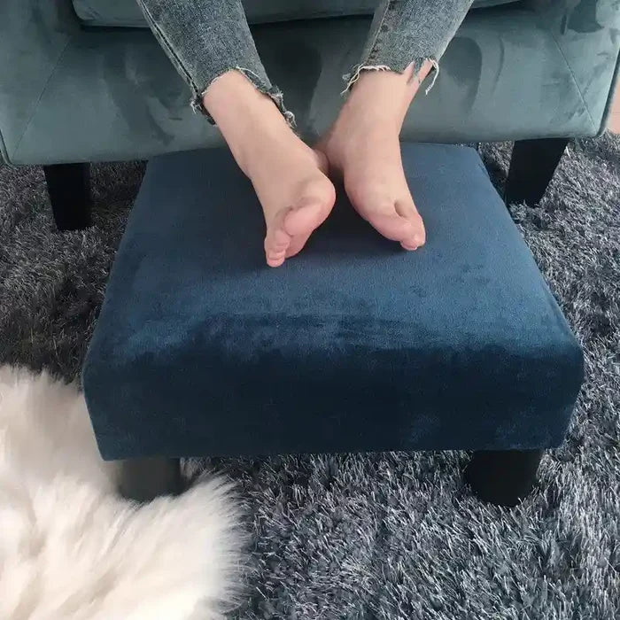 Ottoman Upholstered Fabric Footrest Pet Steps Dog Stair Stool
