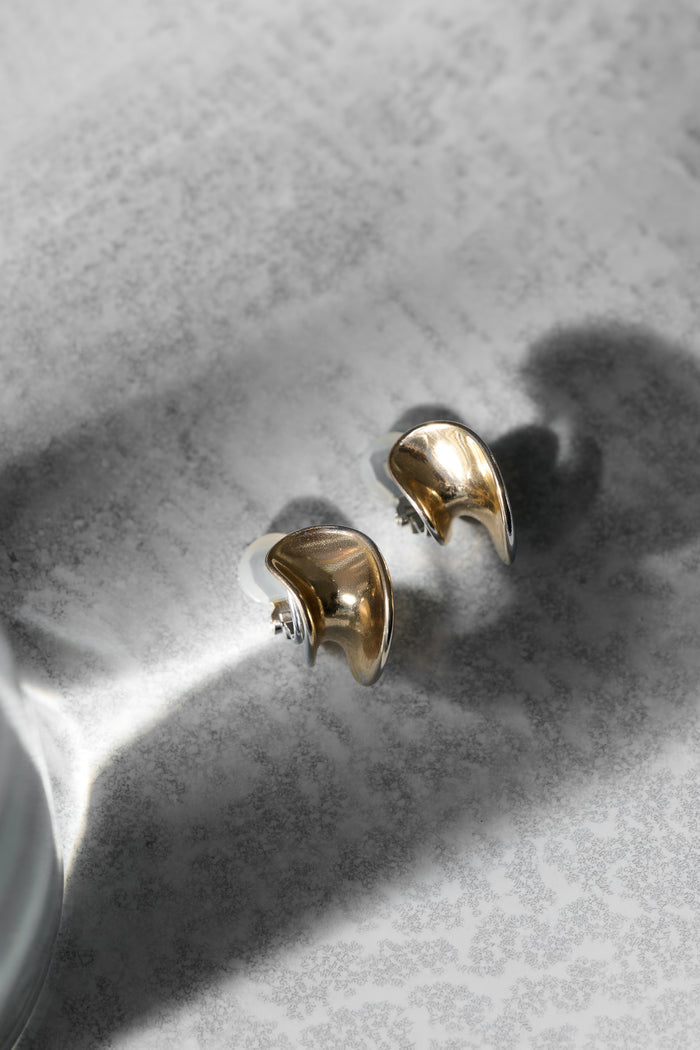 Two-Tone Hoop Earrings